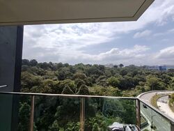 Normanton Park (D5), Apartment #543747441